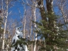 Snow Shoe Hike 2010